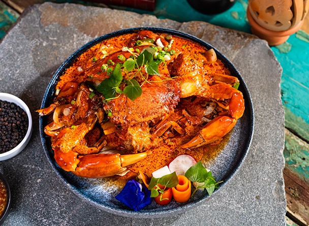food-dish